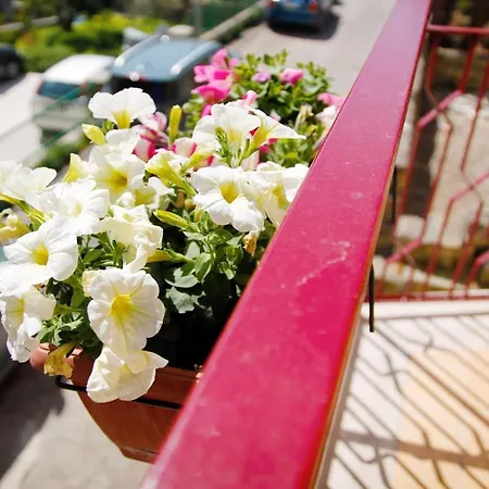 Central Rooms Matera 3* Matera